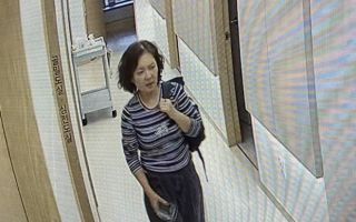 “폰 두고 나갔는데”…북한산 오른 뒤 실종된 50대女, 27일째 수색 중