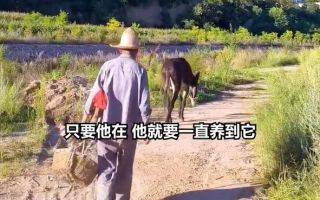 “평생 일했는데 어떻게 팔아”…38살 당나귀와 78세 노인 눈물나는 우정