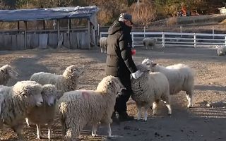 폐허에 전 재산 던진 78세 노인, 연 3억 매출로 깨운 ‘야생의 부활’