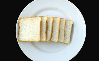 78.8% 이미 시작됐다…아침 공복 ‘첫 한입’, 혈당 흐름 바꿨다