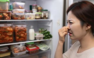 베이킹소다도 소용없다…냉장고 묵은 냄새를 뿌리 뽑는 실전 해결책