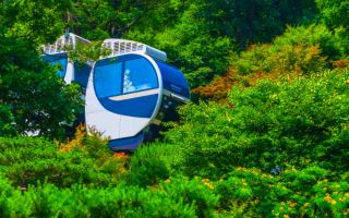 광주 가볼 만한 곳, 화담숲부터 도자공원까지 추천 코스