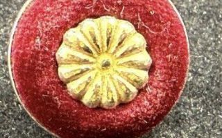 "100만 원 넘어가잖아"…금값 상승에 결국 의원 배지 재질 바꾼다는 日