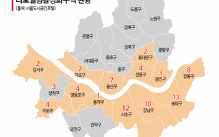 리모델링 60% 이상 강남·용산 쏠려…노도강 ‘0건’