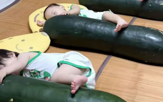 "에어컨보다 시원하다더니"…한밤중 악취와 함께 '펑', 中 '천연 냉방템' 뭐길래