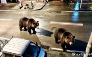 "무서워서 학교도 안 보냈는데"…中 공포에 떨게 한 정체 알고보니