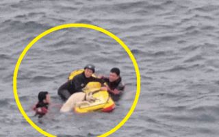 살려고 버둥대는 강아지, 보드로 끌어올려…해경, 추락한 반려견 구조