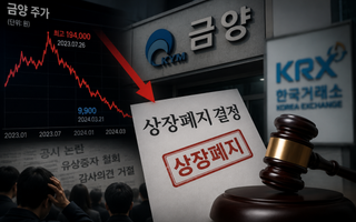 '이차전지 대장주' 금양의 몰락…개미 24만명 피눈물 흘리게 한 상폐 잔혹사