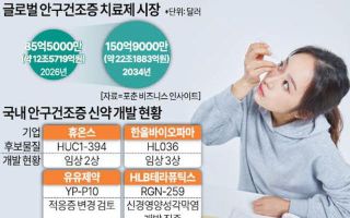 22조 시장 열리지만…까다로운 안구건조증 신약개발
