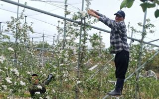 "외국인 농부 없으면 어쩔 뻔?" 보은군 영농현장서 맹활약