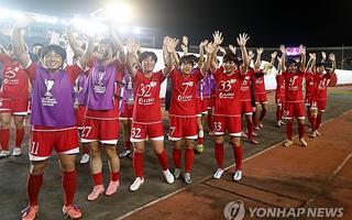 대북단체들 방남 北여자축구단 응원 나선다 "깃발·구호 고민중"