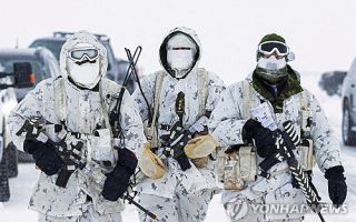트럼프 '51번째 주' 발언 영향?…캐나다군, 30년만에 최대 모병