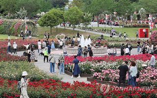울산대공원 장미축제 20~25일 개최…300만 송이 '활짝'