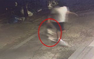 낮엔 귀여워하고 밤엔 목줄 당기고 때려…이웃 반려견 죽인 20대