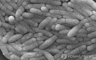 "기후변화가 살모넬라균 항생제 내성 키웠다"