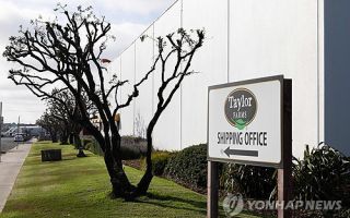 오락가락 美기생충 사태…"테일러팜스 양상추서 검출 안돼"