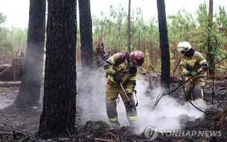 전쟁 중에도…우크라 소방관들, 프랑스 최악 산불 현장 달려가