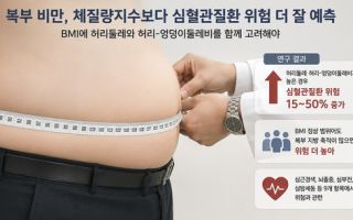 "복부 지방, 체질량지수보다 심혈관질환 위험 더 잘 예측"