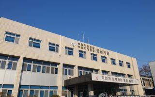 80대 노모 살해 후 나체 배회한 50대 딸, 1심서 무기징역 구형