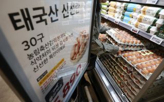 오늘부터 태국산 계란 판매…"국산보다 15% 저렴"