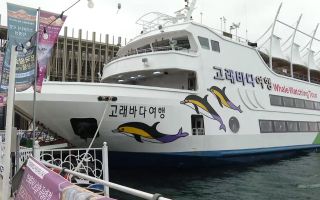 만성 적자에 고유가까지…해양관광 '빨간불'