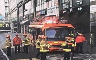 새벽 세종시 도심 휘젓고 다닌 멧돼지 소동…3마리 중 2마리 사살