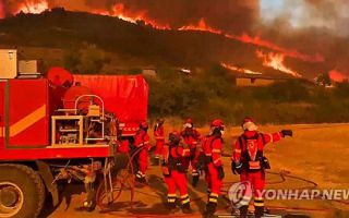 스페인 대형 산불…서울 절반 면적 잿더미