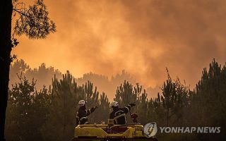 "굴뚝 냄새 날수도"…대형산불에 보르도 와인 '비상'