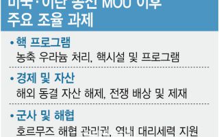 MOU 서명 끝 아냐…美, 이란과 세부사항 조율 쉽지 않아