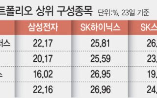 "삼전닉스만으론 부족해"…반도체 ETF, SK스퀘어 편입 러시