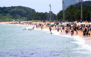 더위 피해 산과 바다로…해수욕장·강원 산지 몰린 관광객들