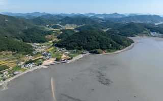 여수~서산 생명선 이었다…세계가 품은 한국 갯벌