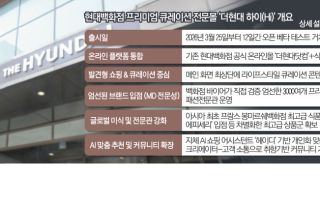 최저가 대신 ‘취향 저격’…AI 덕분에 복잡한 쇼핑 끝낸 ‘더현대 하이’