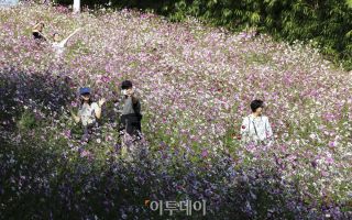 아침엔 선선ㆍ낮엔 포근⋯오후부터 전국 강풍