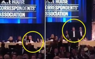 총성 울리자 연단 위로 후다닥… 트럼프 앞 막아선 경호원 화제