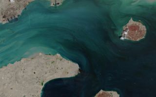 "호르무즈 해협 개방" 선언에 폭락...WTI, 84달러