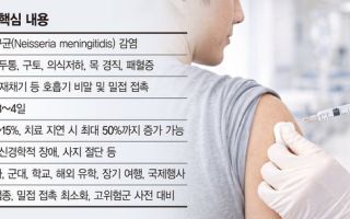 해외여행 전 ‘수막구균’ 예방접종 꼭!… "전 세계 감염 증가세"