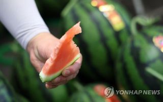 "수박 먹어볼래?" 수상한 냄새·바늘구멍 흔적, 미성년자 유인한 외국인男 체포