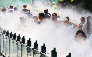 전남광주, 폭염에 농축수산물 피해 '눈덩이'…가축 12만 마리 폐사