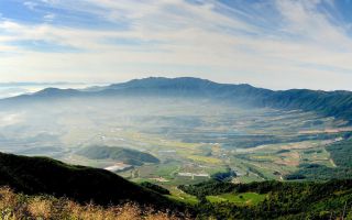 양구는 금강산, ‘로얄 곰취’ 만든 펀치볼·해안 이야기