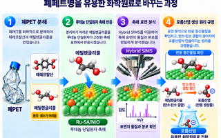 “버려진 페트병이 화학원료로 변신”…韓 연구진, 전환 효율 86% 촉매 개발