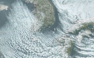 폭설·강풍 겹친 제주 하늘길 꽁꽁… 오전 10시까지 활주로 운용 중단 가능성