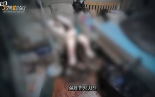"온몸에 구더기 아내, 몰랐다고? 100% 거짓말"...'쾌락형 살인' 가능성