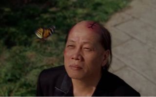 '쿵푸허슬' 양소룡, 중국 선전서 별세…성룡 "믿기 어려운 충격" 애도