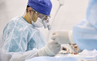 "성접촉으로 전파···" 일본·대만 신규 감염자 2만명 넘었다