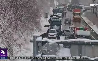 40중 연쇄 추돌사고‥'때아닌 폭설' 피해 속출