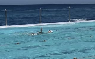 "세상이 미쳐 돌아간다" 수영장서 포착된 여성…배영하며 손에 쥔 '스마트폰'