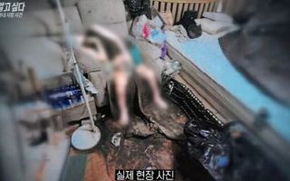 "한 달 수돗물 40톤 써"...'구더기 덮인 아내' 방치한 부사관, 왜?