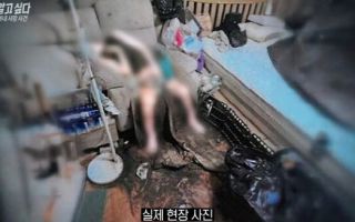 "부탁해도 될까"...구더기 덮인 채 죽어간 아내가 남편에 쓴 편지