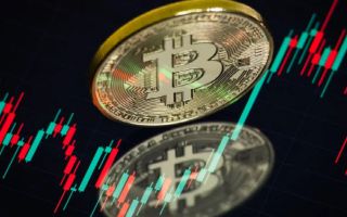 "석달새 반토막 났지만 비트코인 위기 아냐…내재된 속성일뿐"